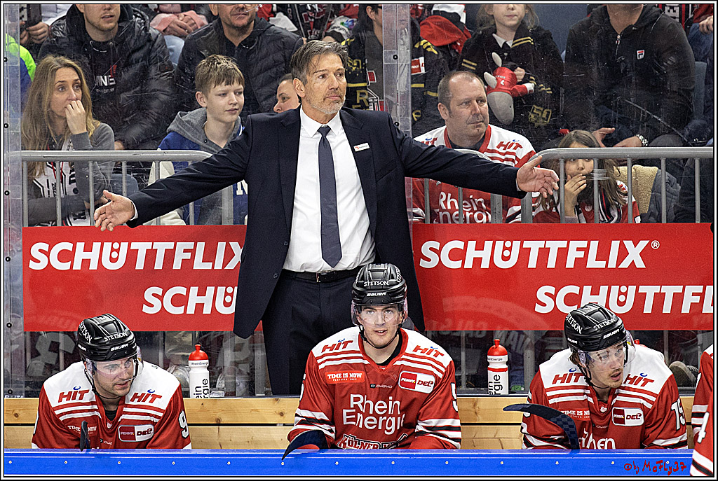 PENNY DEL - Viertelfinale;  Koelner Haie - Adler Mannheim; Koeln, 17.03.2023